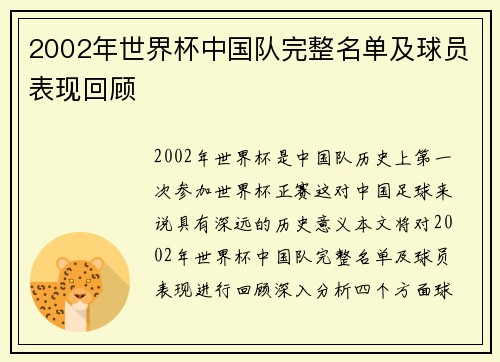 2002年世界杯中国队完整名单及球员表现回顾