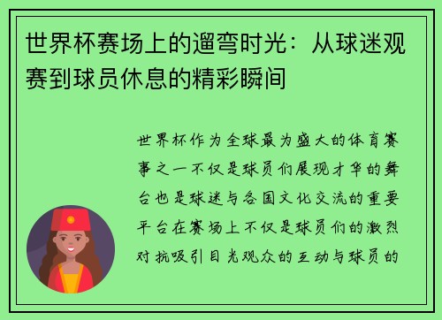 世界杯赛场上的遛弯时光：从球迷观赛到球员休息的精彩瞬间